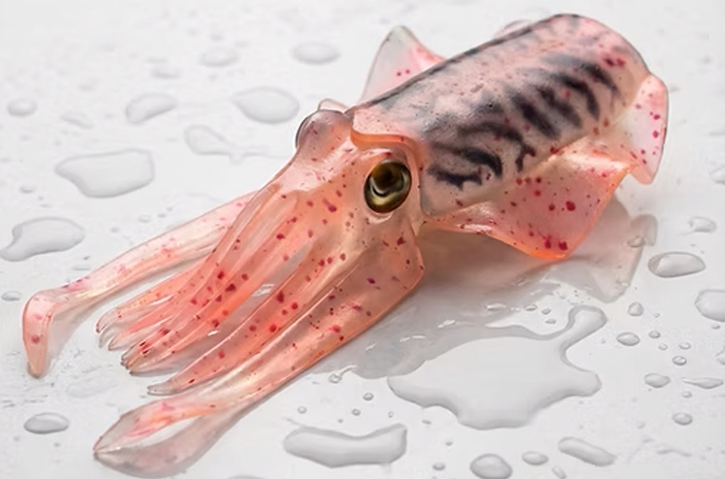 Silikon-Köder XIBIA MonsterFishing handgemachter Tintenfisch-Silikonköder zum Tiefseefischen