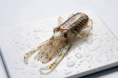 Silikon-Köder XIBIA MonsterFishing handgemachter Tintenfisch-Silikonköder zum Tiefseefischen